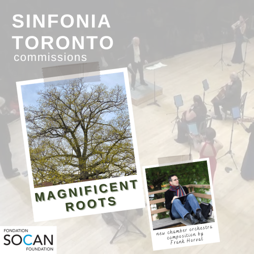 Sinfonia Toronto commissions Frank Horvat for their 25th Anniversary