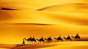 Desert Scenes by Frank Horvat