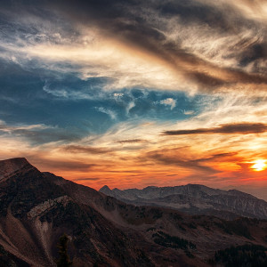 A Thing of Beauty by Frank Horvat