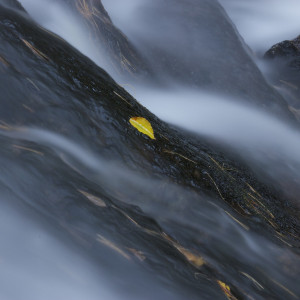 A Secret Streamlet by Frank Horvat