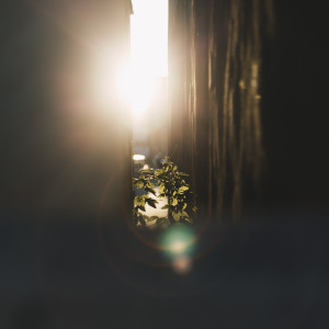 Heat Island by Frank Horvat (photo by Maxx Miller on Unsplash)