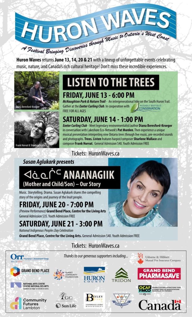 Huron Waves Festival Poster