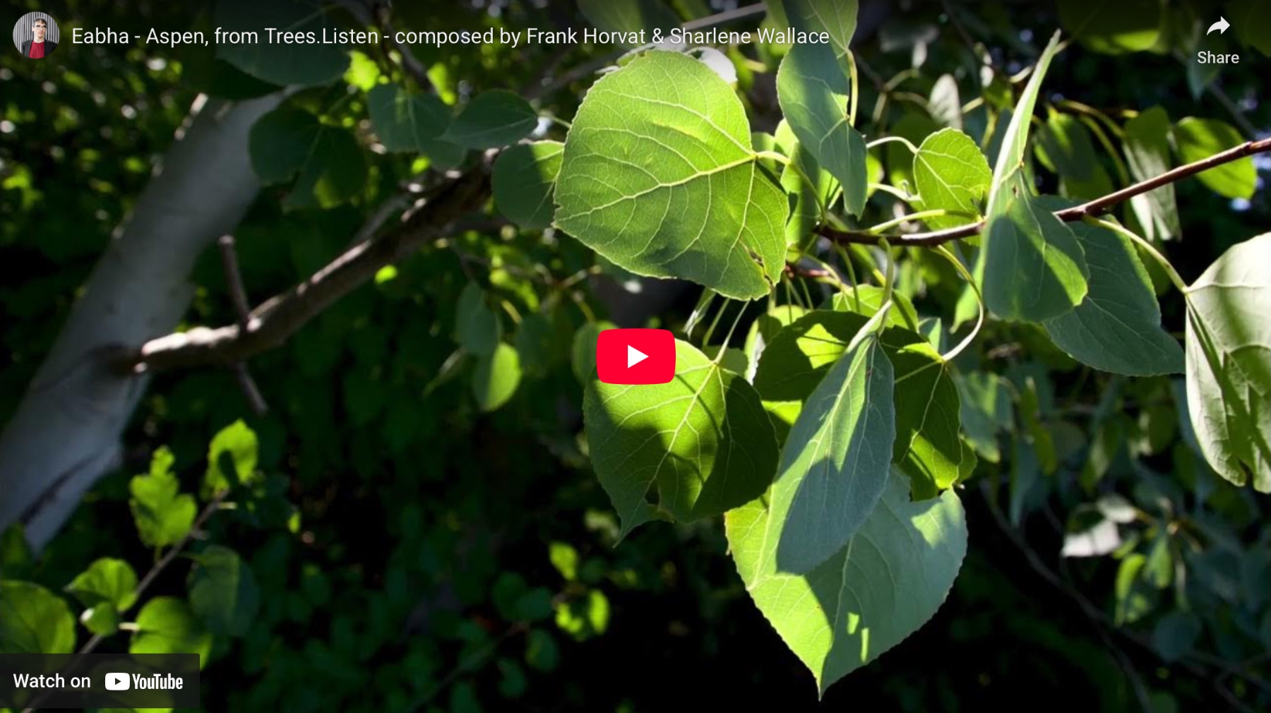 Eabha - Aspen from Trees.Listen by Horvat and Wallace