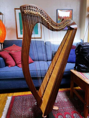 Brand new harp!